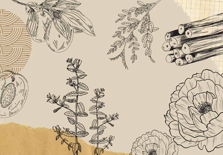 PhytAura™ | Croda Beauty