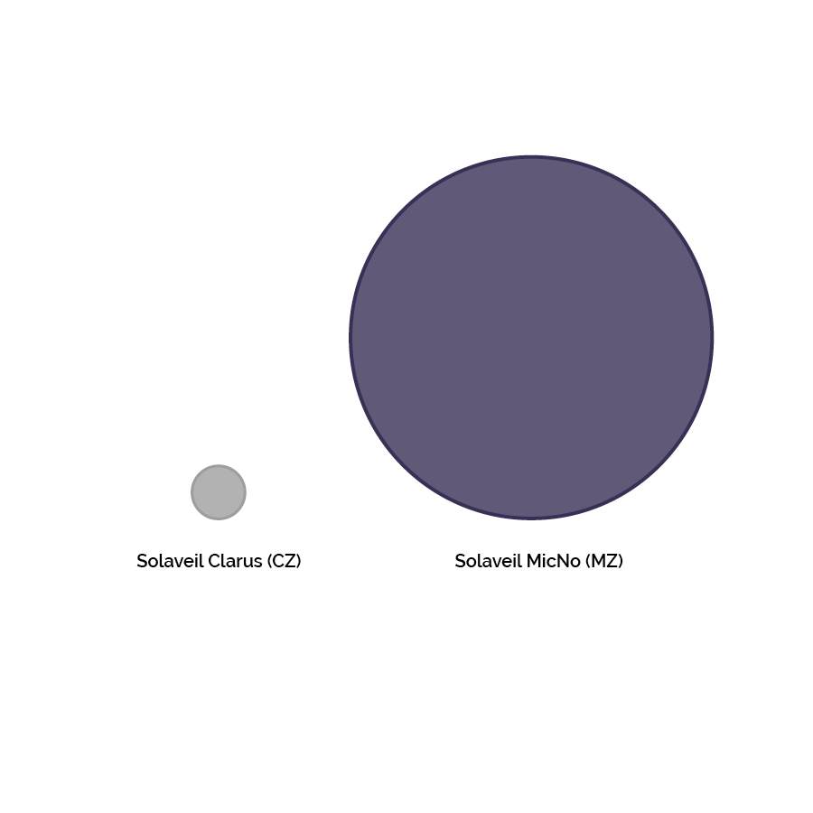 MicNo particle size