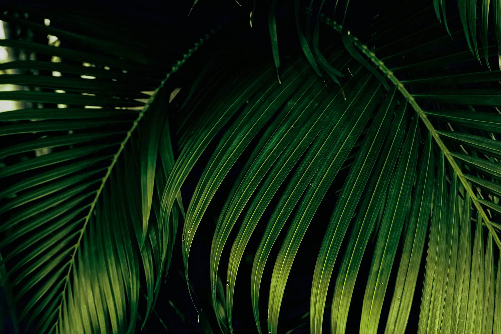 ソラヴェール シリーズ お問い合わせ