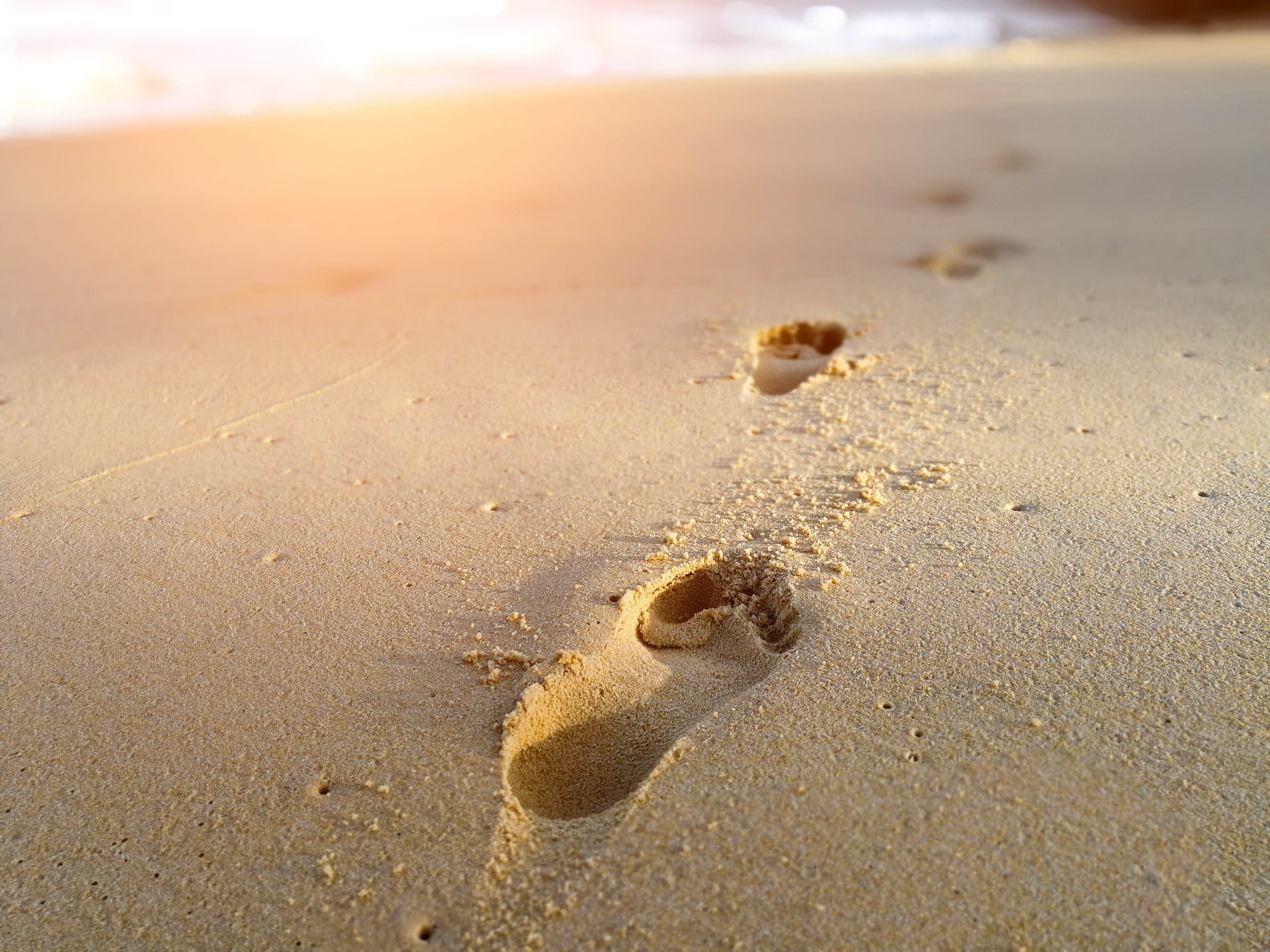 net zero footprints in the sand on a beach landscape Product carbon footprint