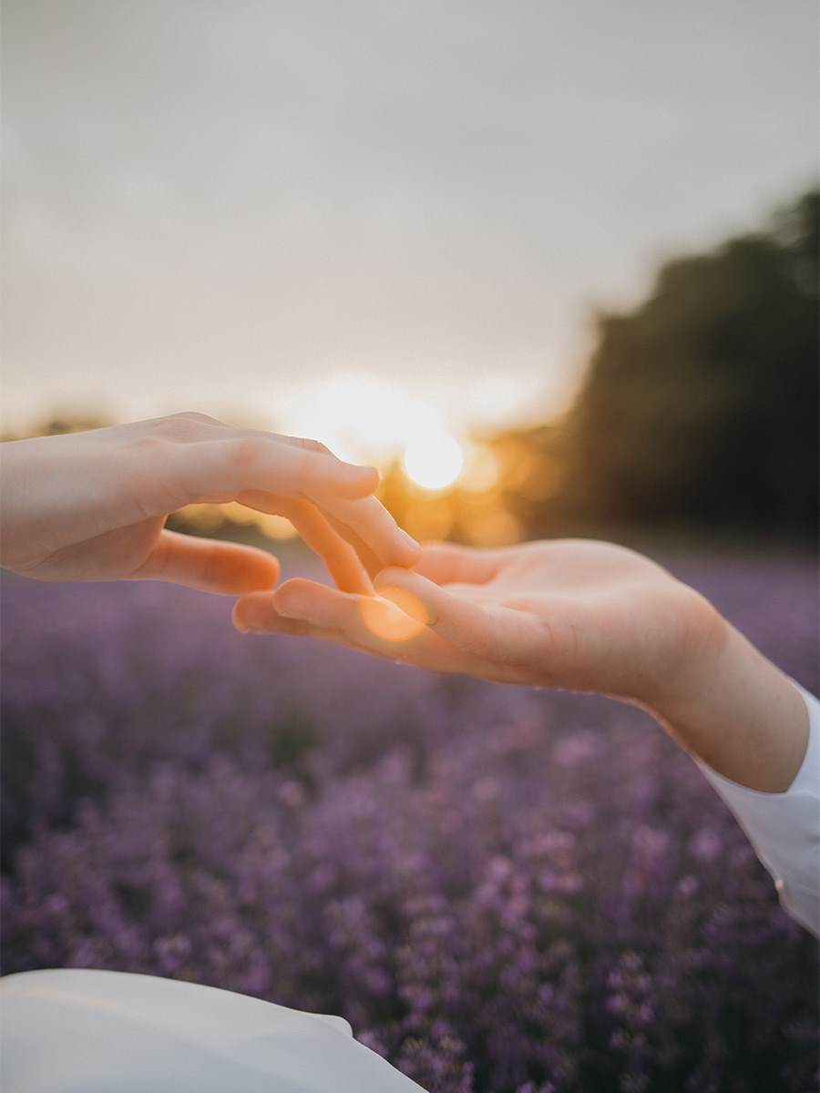 2 hands touching fingers aaginst a backdrop of a lavender field
