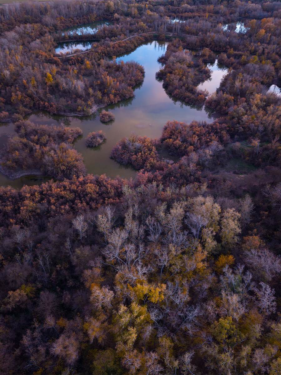 zero ambiguity marsh land trees and water