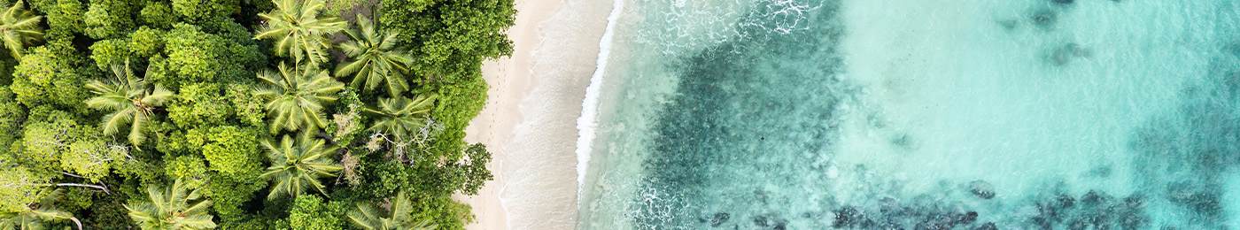 zero biodiversity loss jungle into beach into ocean landscape