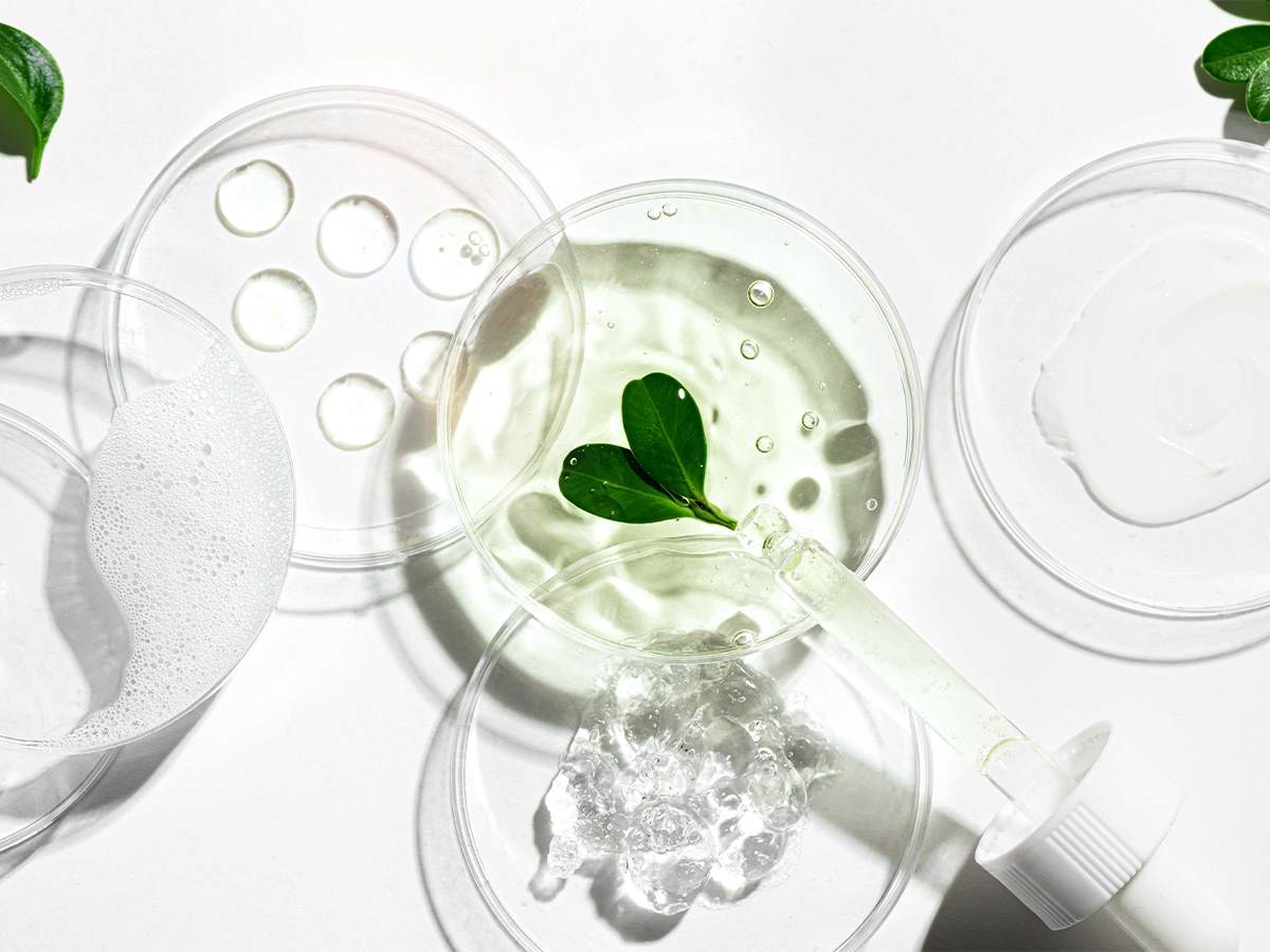 zero diversity loss petri dish with different textures focus on heart madeof green leaves
