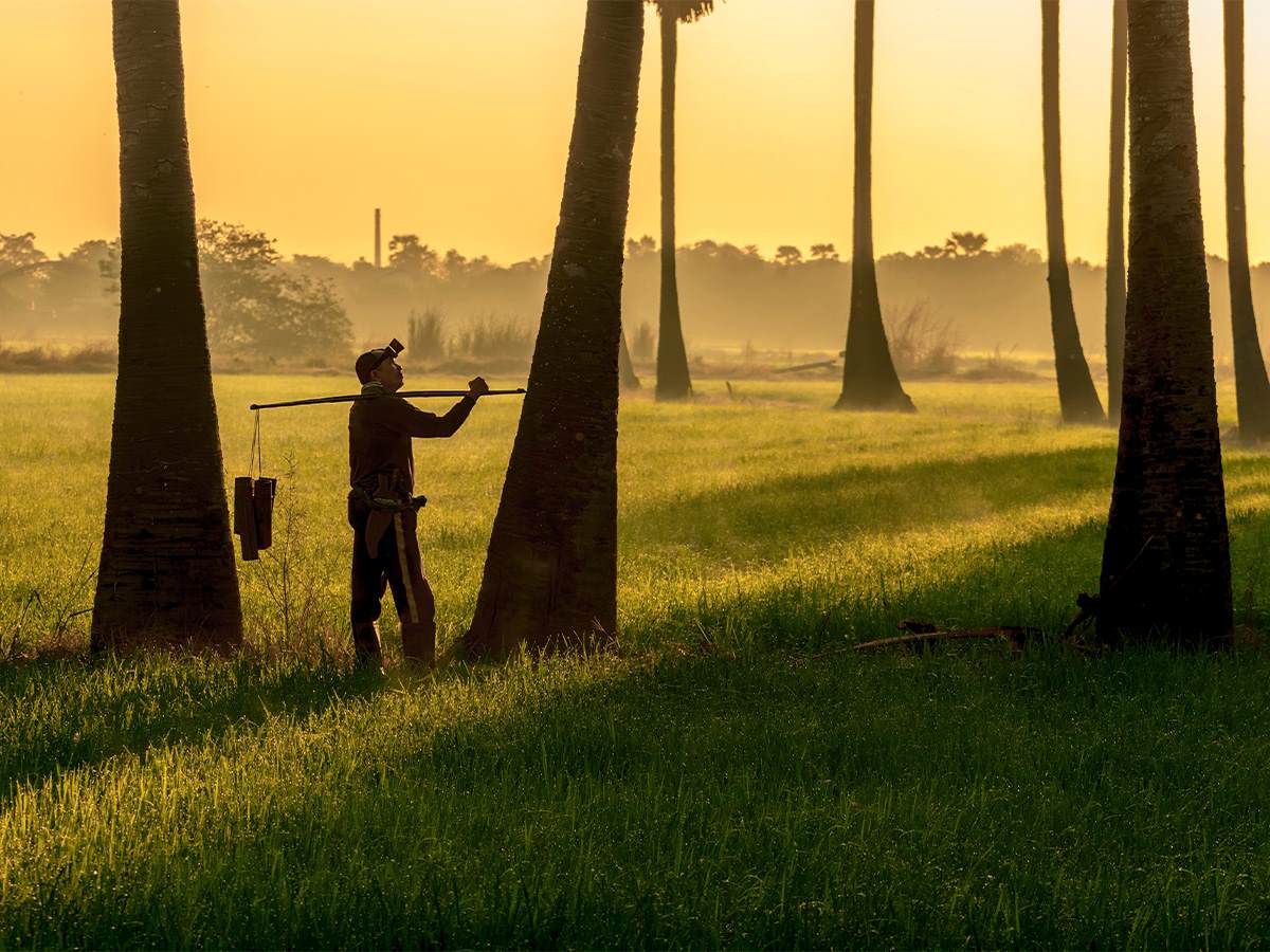 Zero exploitation man farming surrounded by trees at sunset. He is a silhouette and we cannot see much of him.