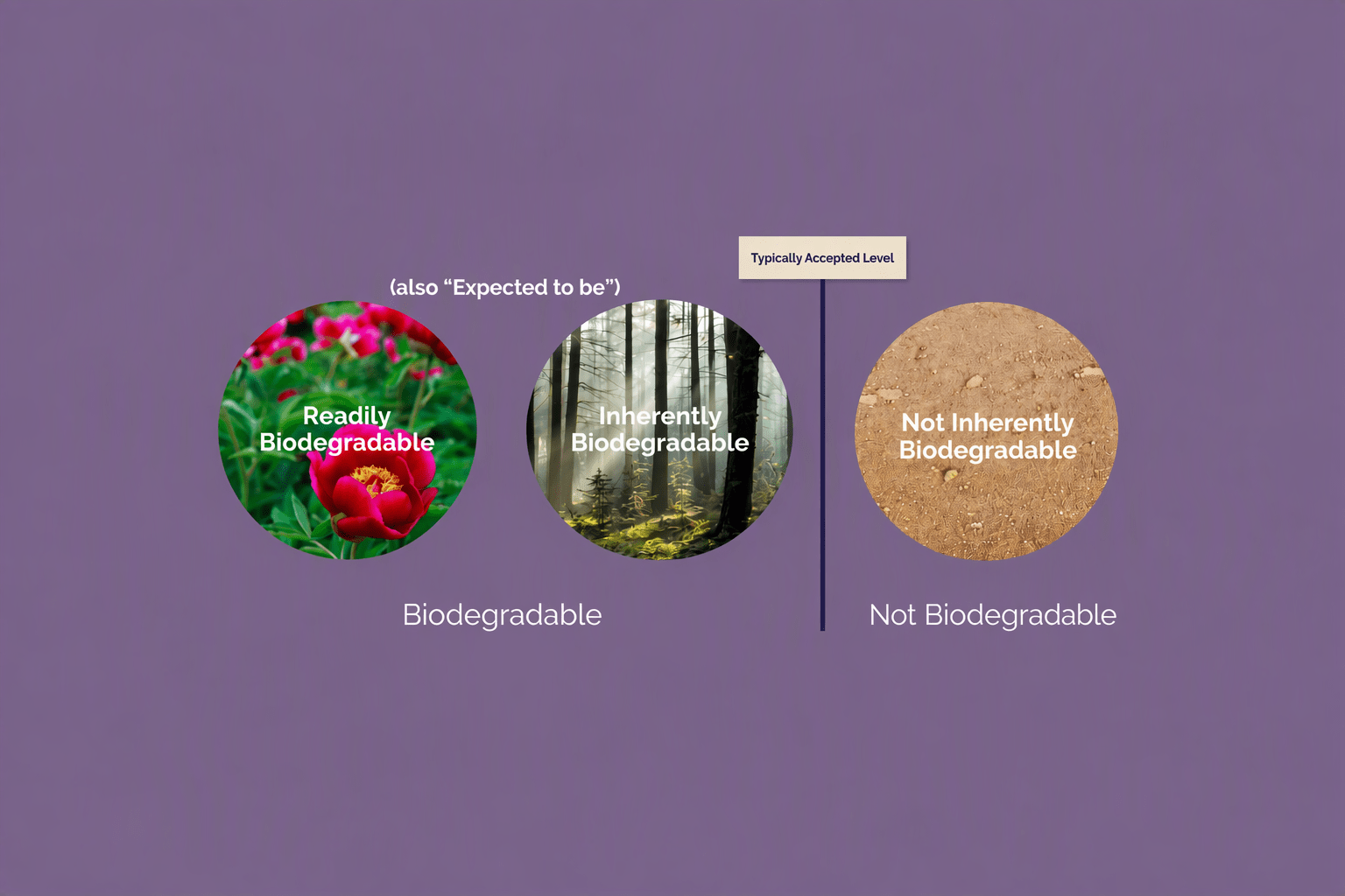 Definitions of biodegradability