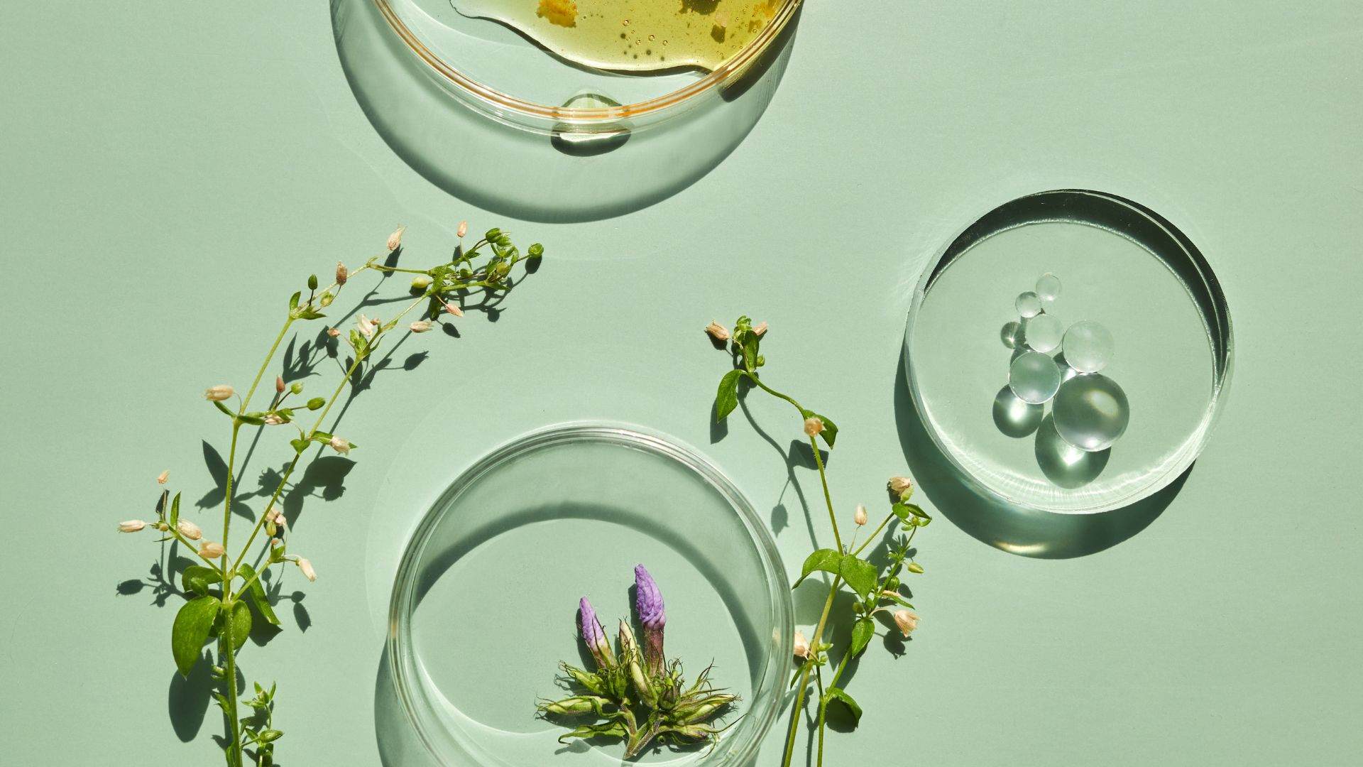 Performance, naturality and storytelling with EffiSense