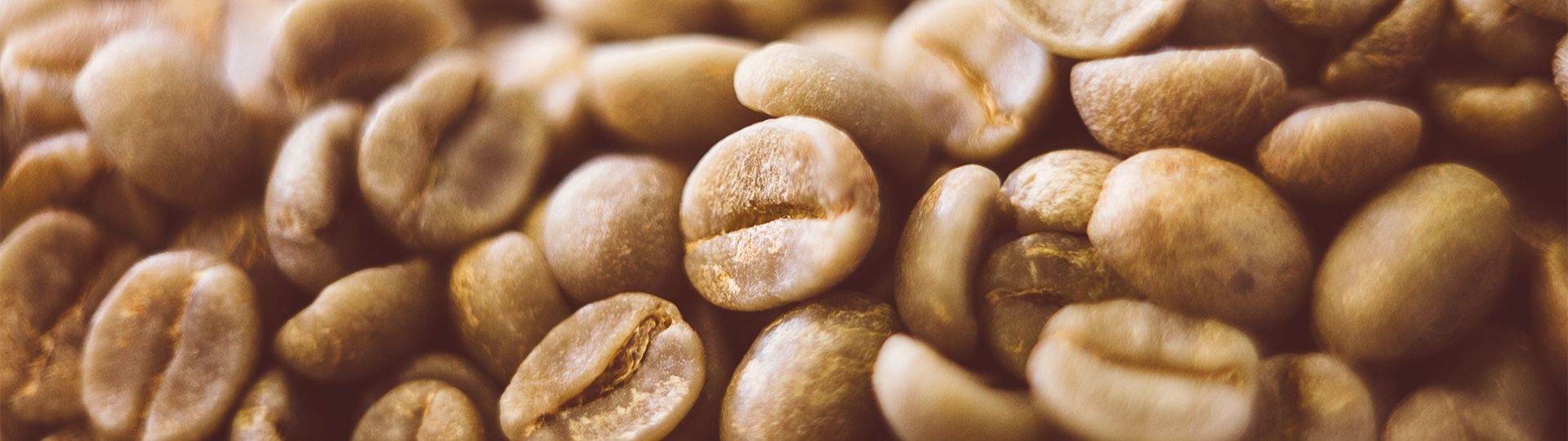 Phytessence Green Coffee EC - A joyful and energising approach to neurocosmetics 