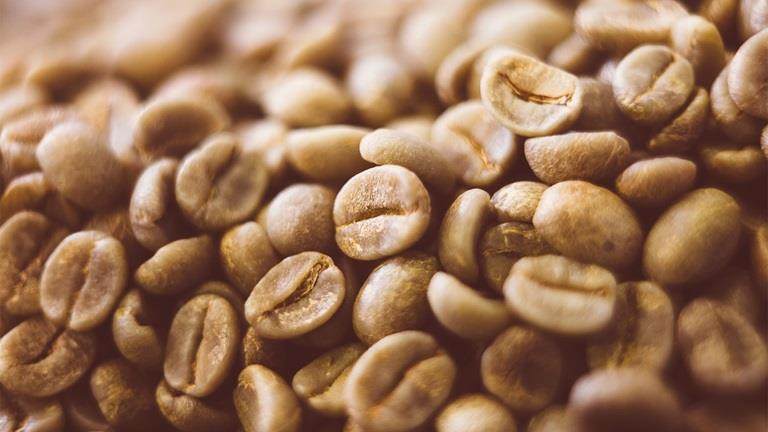 Phytessence Green Coffee EC - Anti-fatigue for toned skin and positive emotions