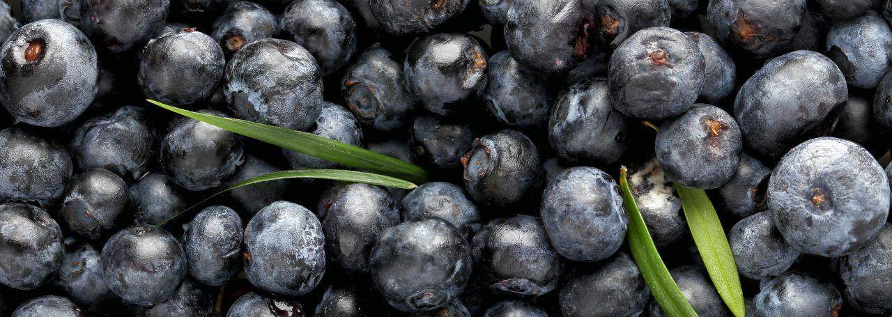 PE Wassai - acai berries