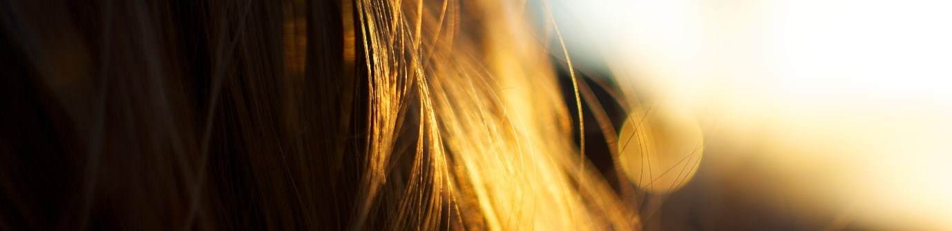 Cropped image of blonde hair with golden light shining on it