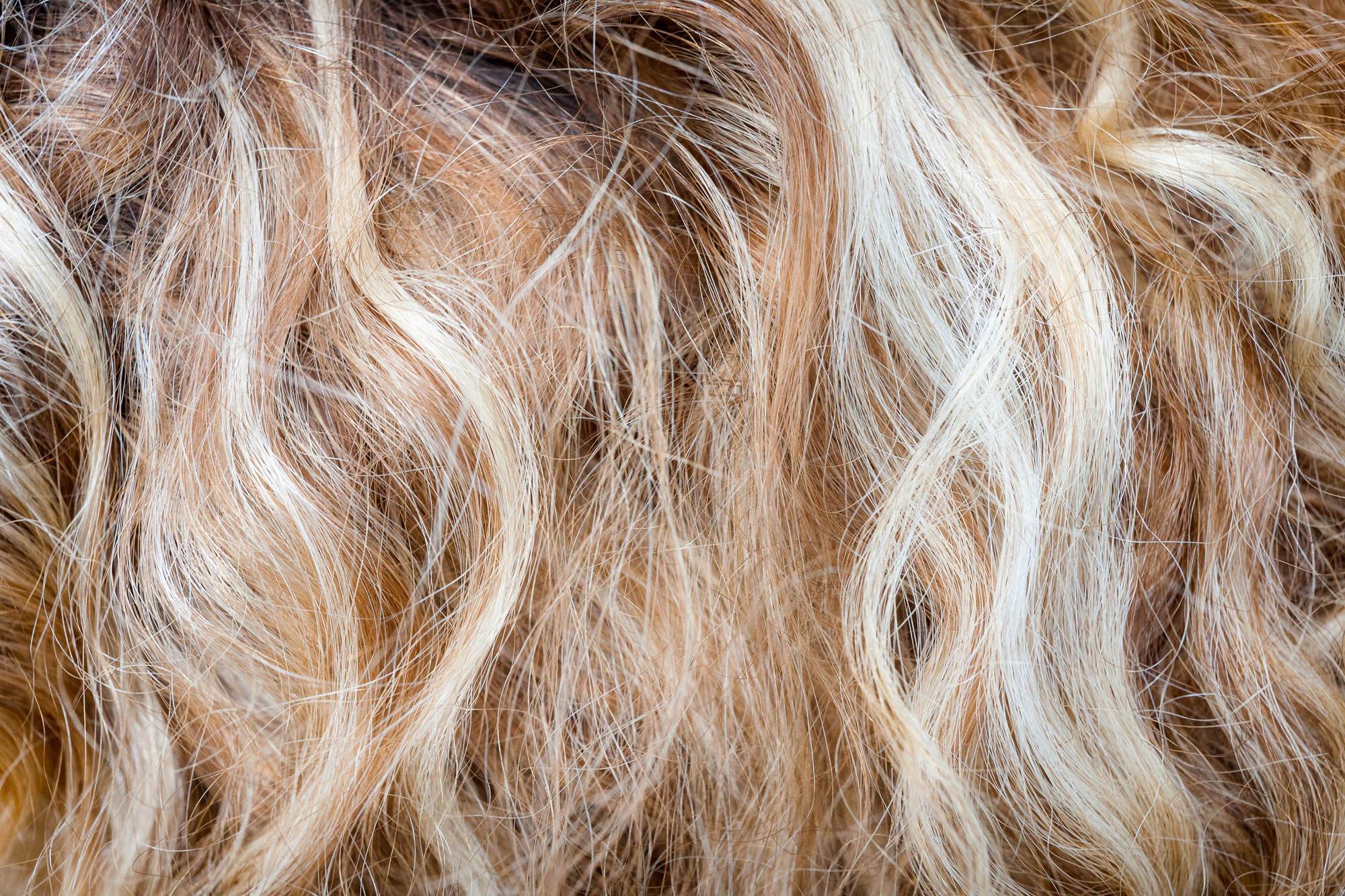 Close up on wavy blonde hair in various shades.