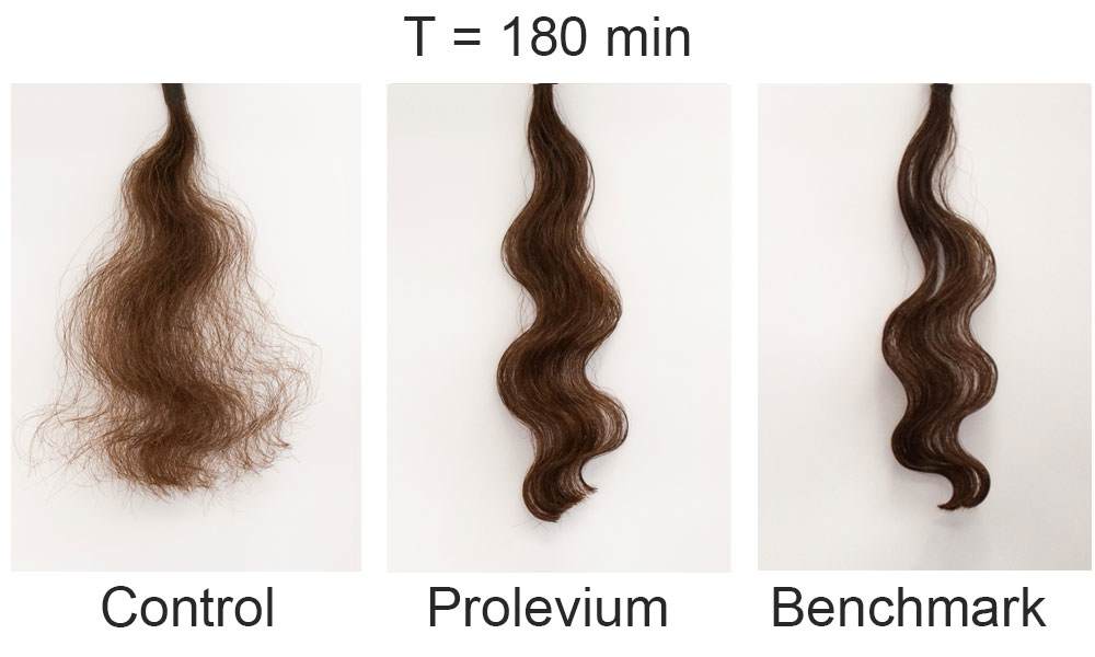 Diagram showing 3 strands of hair 180 minutes after treatment. The control strand is extremely frizzy and wide. The strand treated with prolevium has maintained fairly tight curls with no noticeable frizz. The benchmark has fairly tight curls but they are much more broken up and have noticeable frizz.