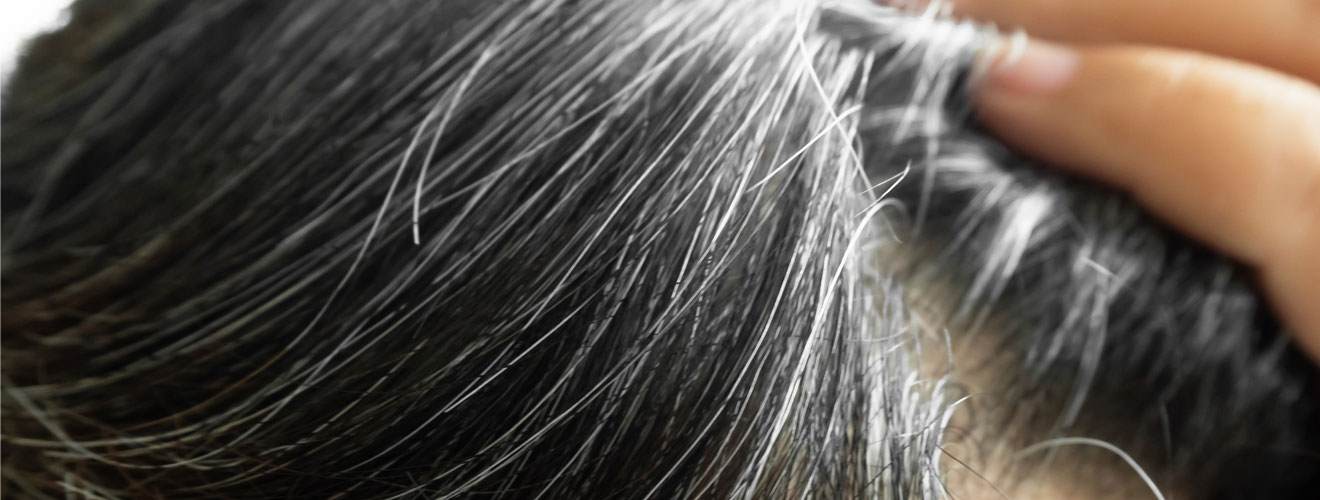 Close up on a young east asian woman's hair that is starting to show grey hairs