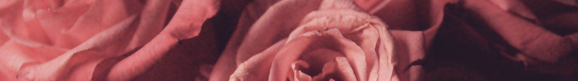 Better hydration during the night with Phytessence French Rose EC