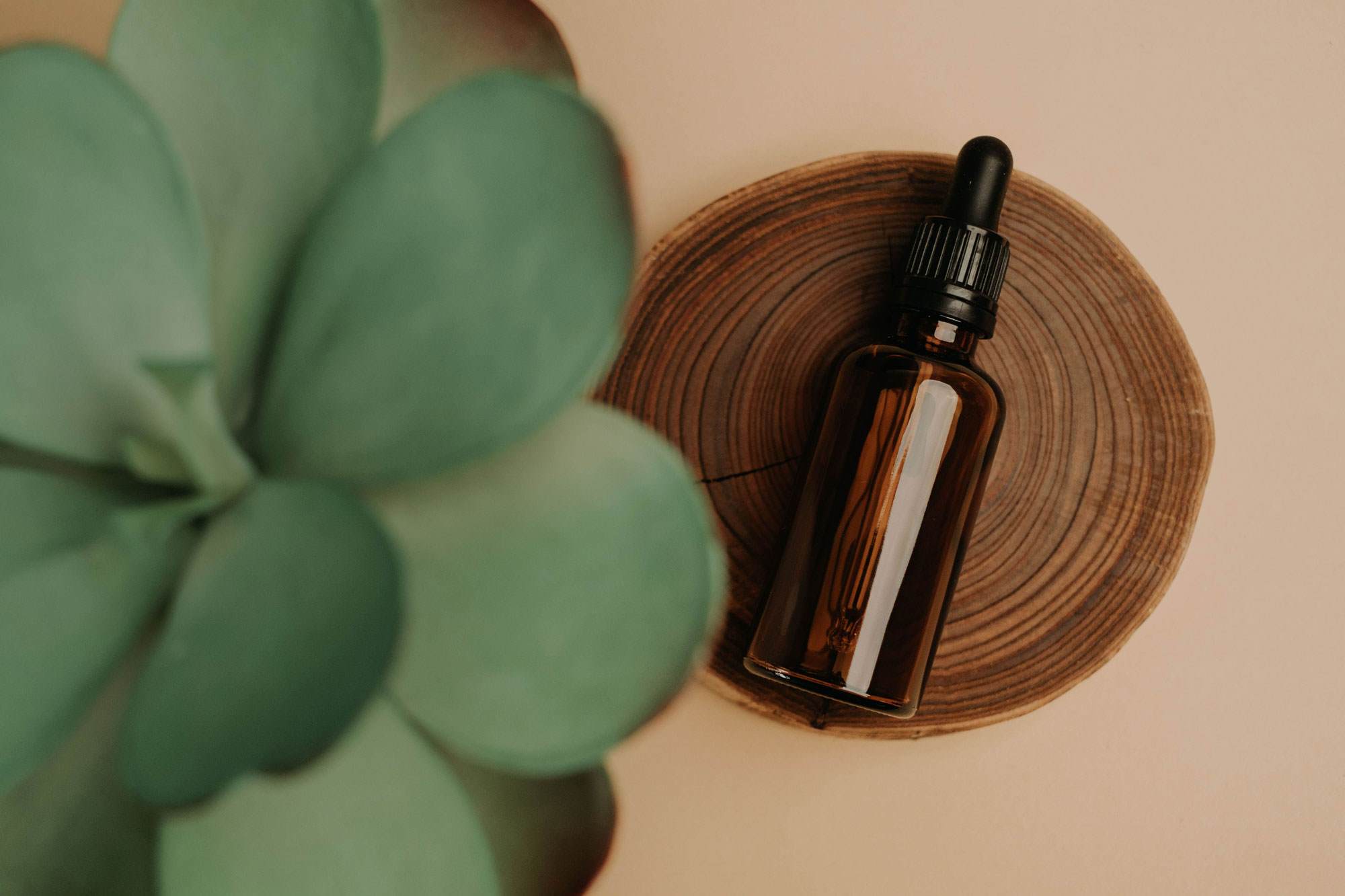 水なし美容に最適な油性植物エキス