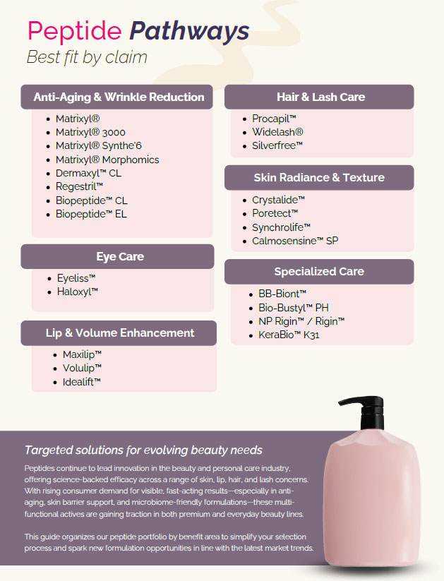 image of the document available for download