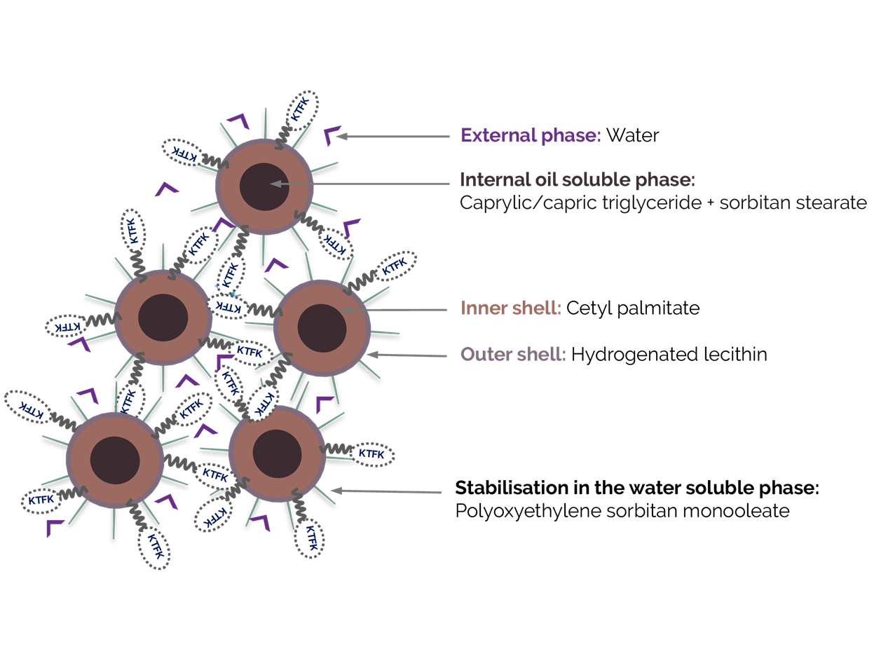 Example of peptide encapsulation for epidermis optimal delivery