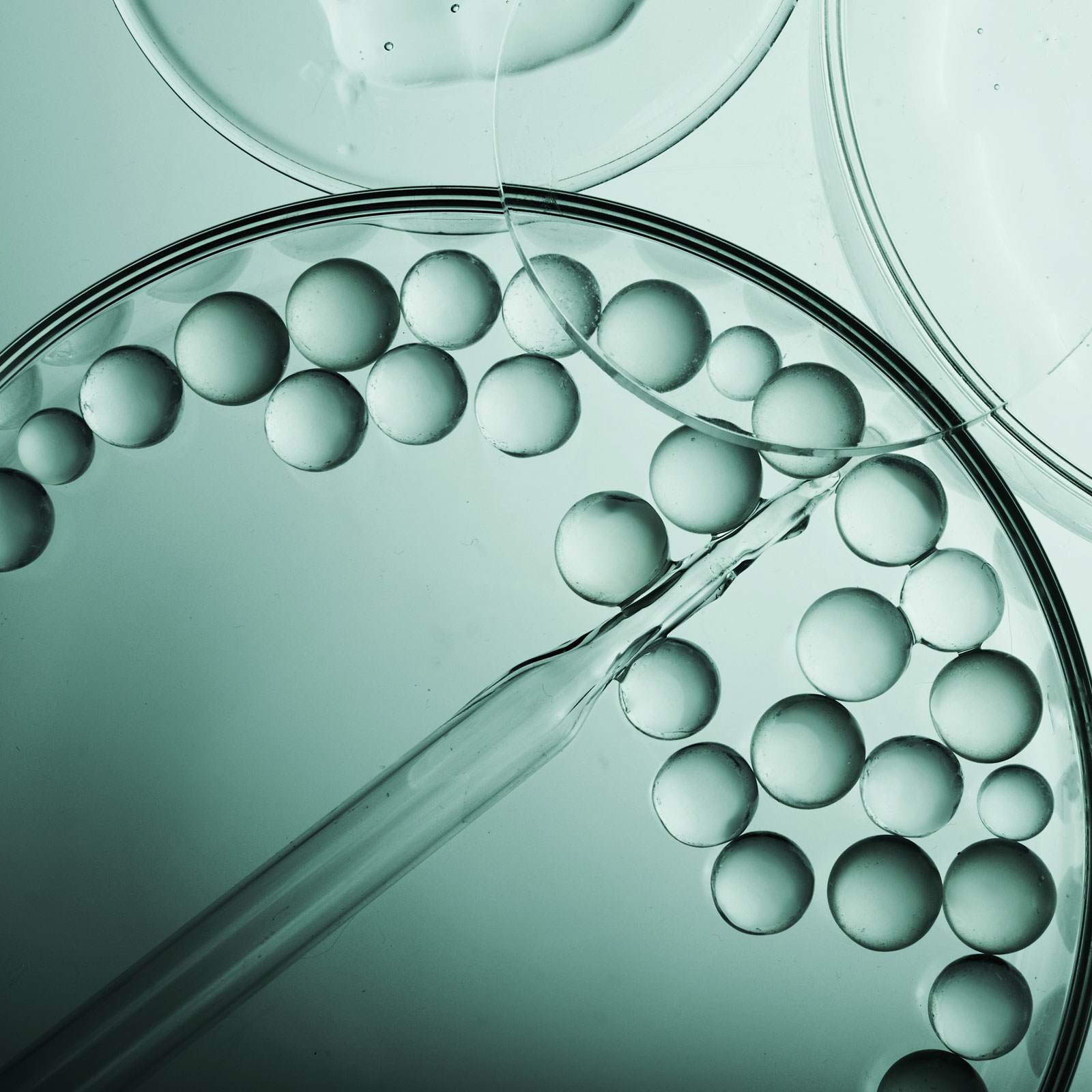 Close up on a petri dish filled with some translucent spheres.