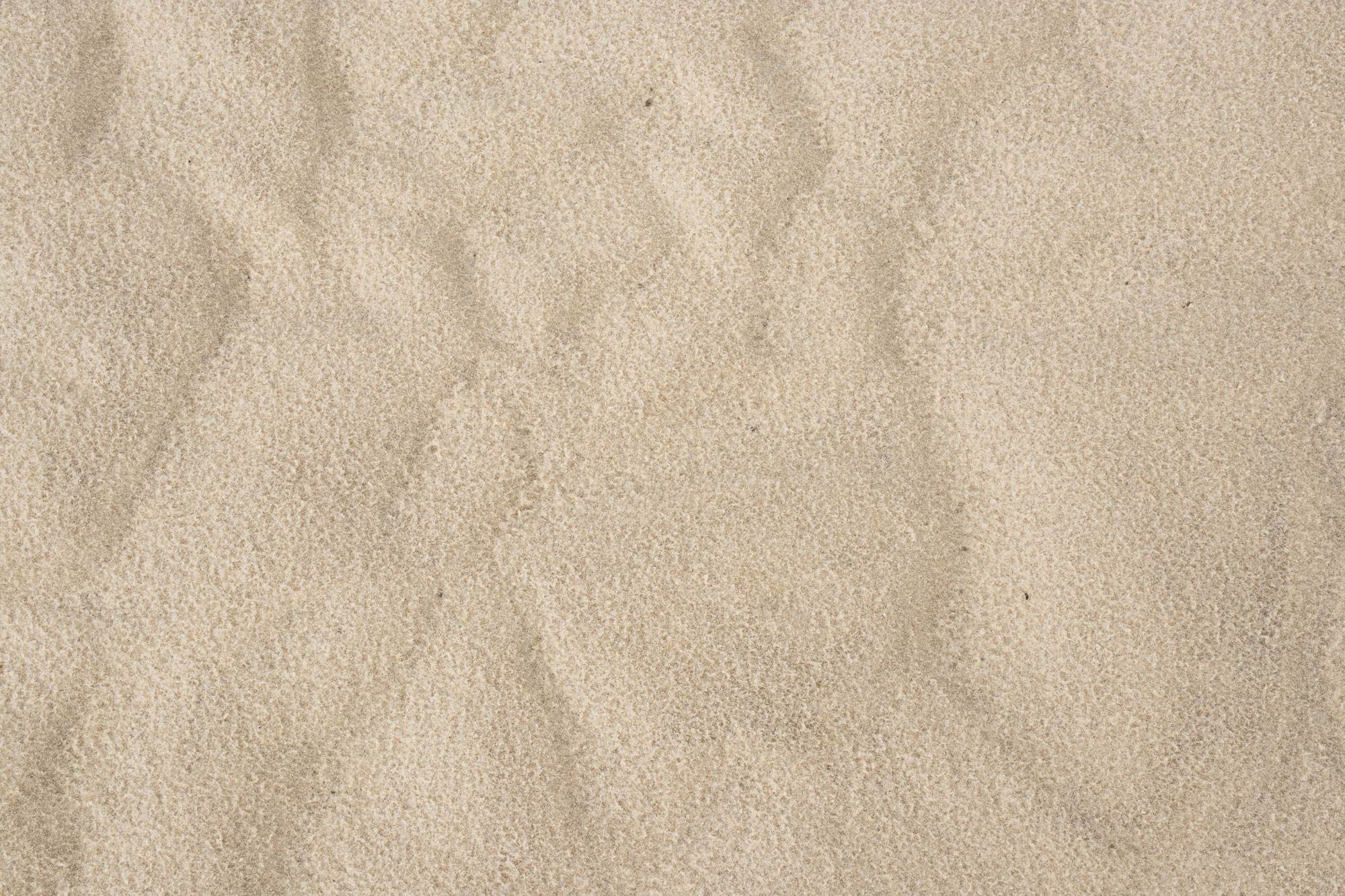 科学に裏付けられた主張