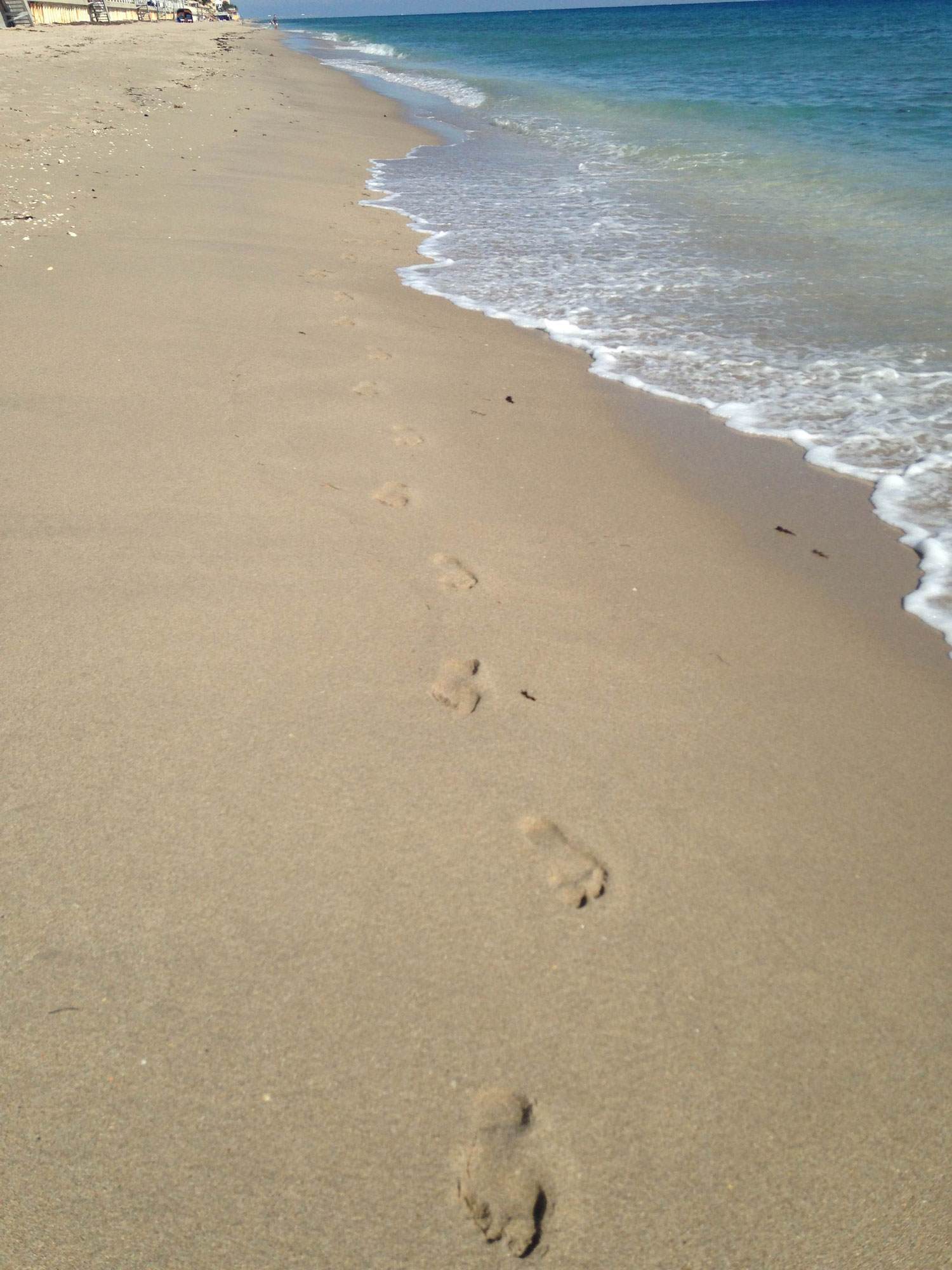 サンケアプレゼンテーション