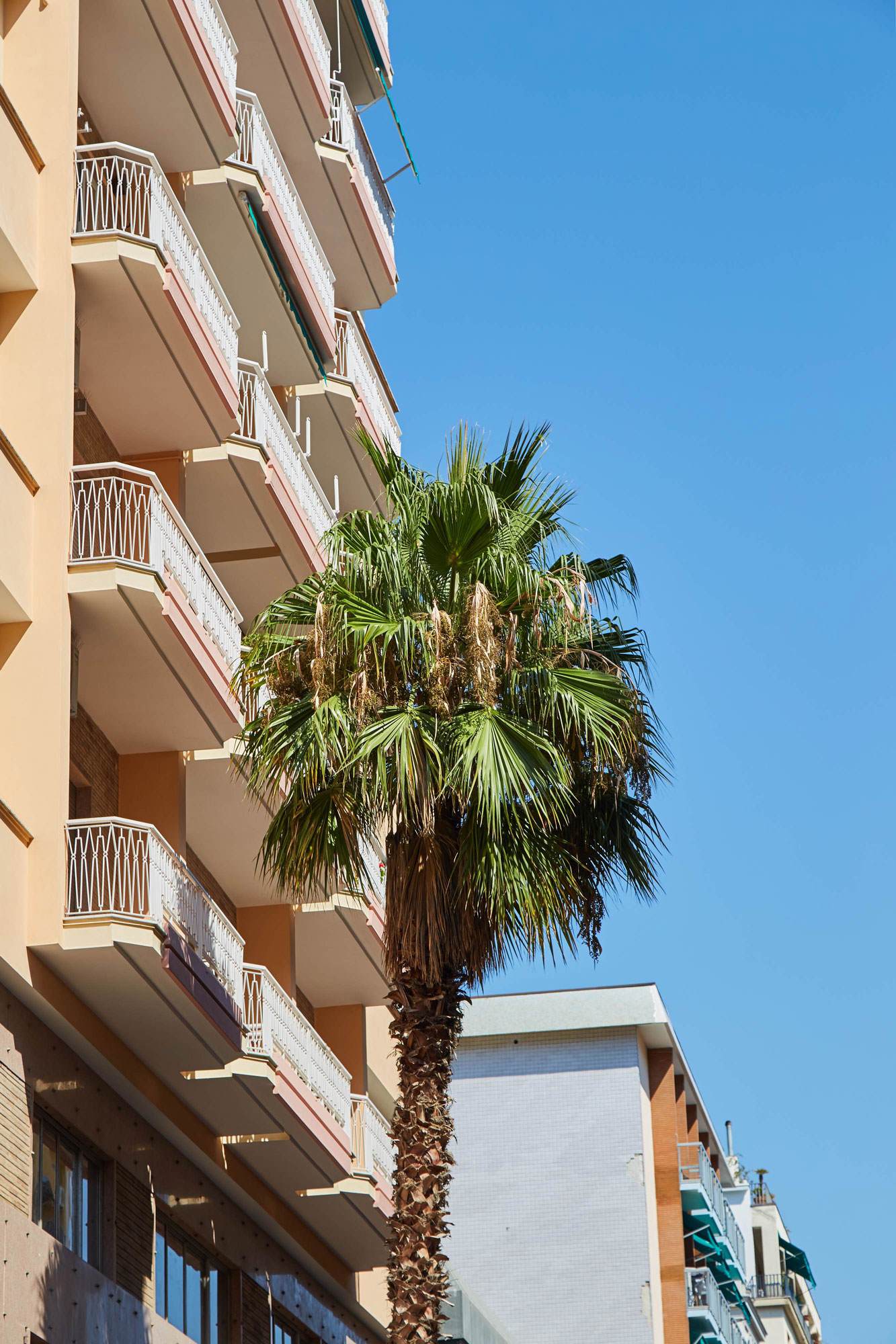 肌の「サンニフィケーション」