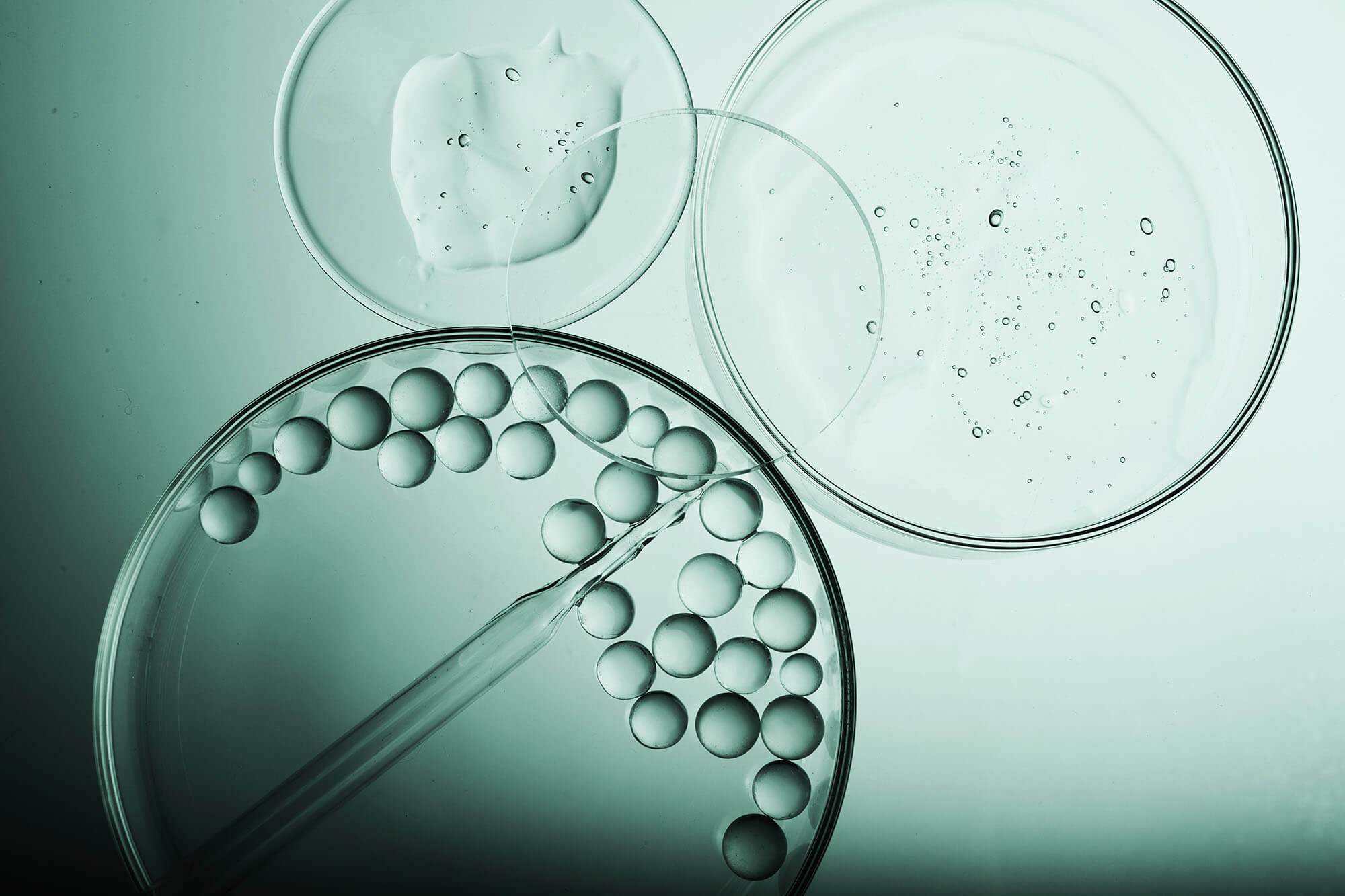 Beauty serums in petrie dishes