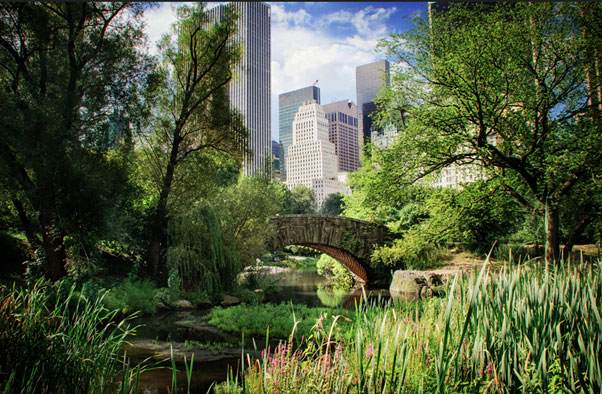 Photo of a city seen from a park. In the foreground is a river with a bridge and trees. In the background are skyscrapers.