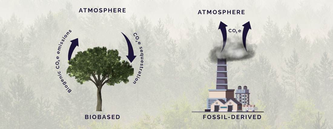 Illustration showing the carbon cycles from biobased and fossil-derived materials