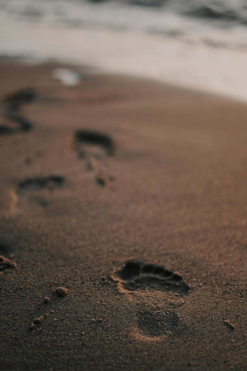 Footprints in sand