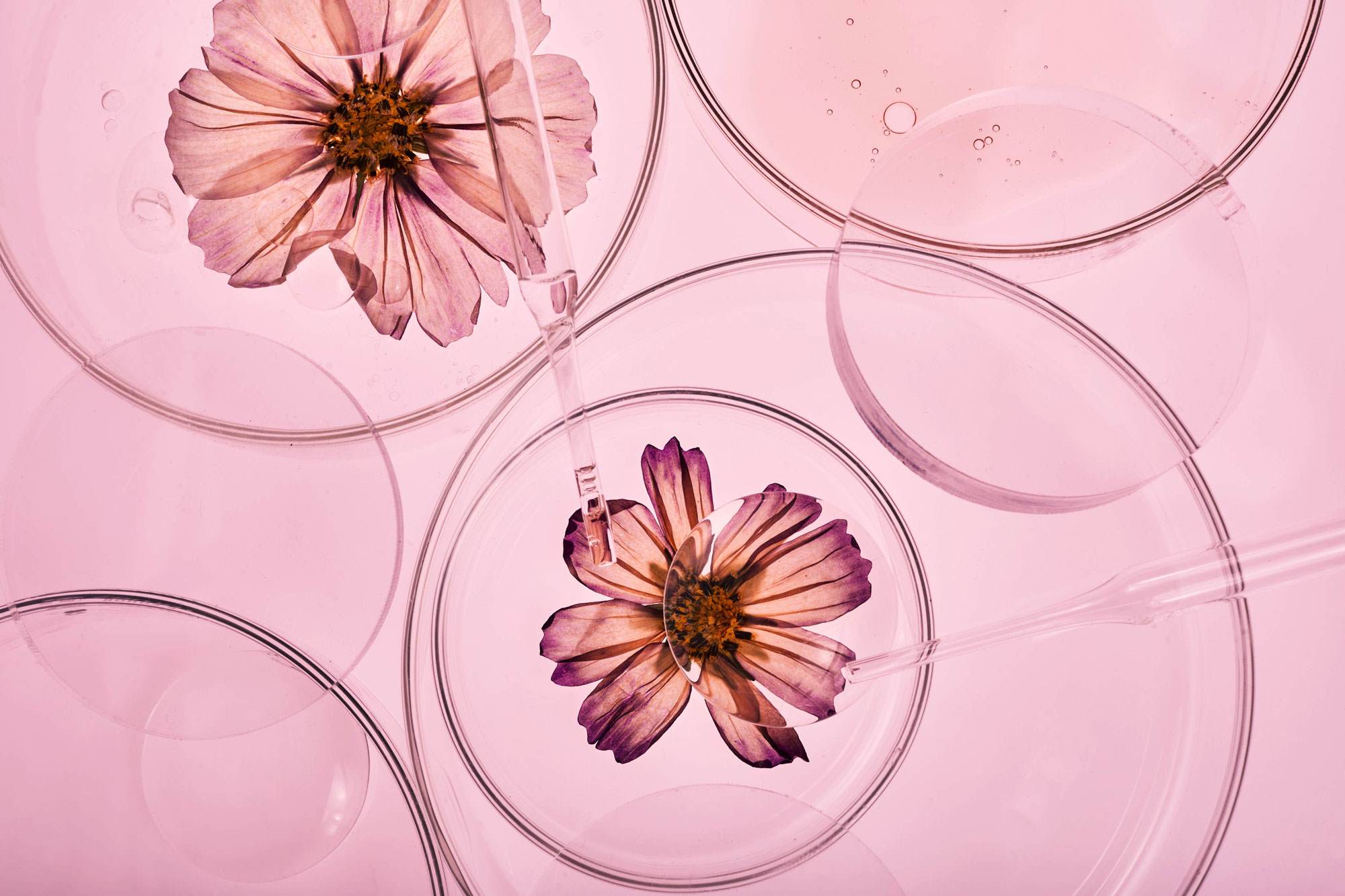 バイオテクノロジーレポート