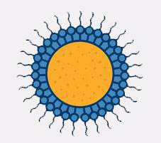 Diagram showing a solid lipid nanoparticle encapsulation composed of a solid lipid core (50 to 1000nm) surrounded by a surfactant.