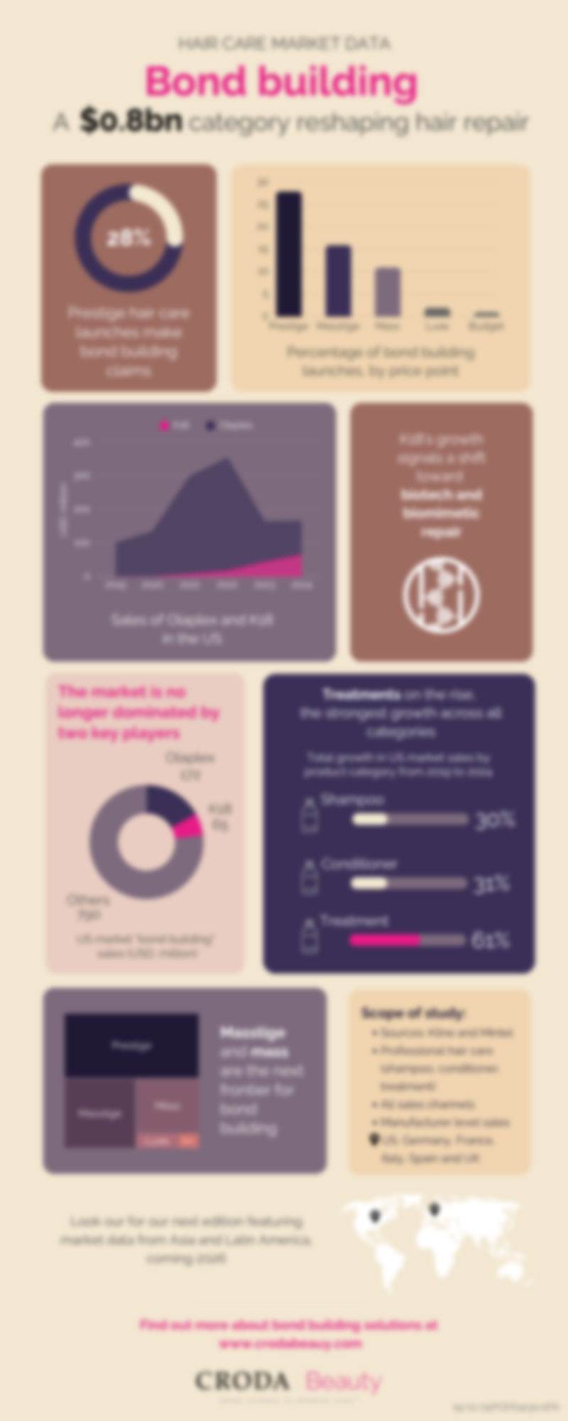 Blurred front cover of the bond building market infographic