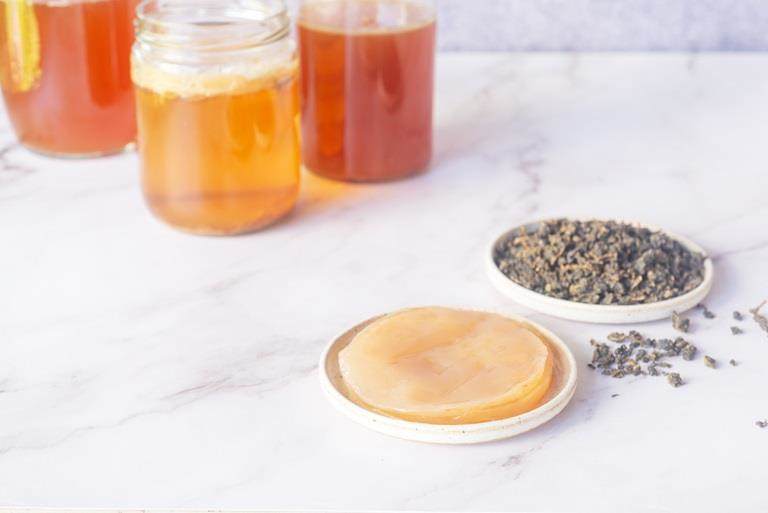Kombucha starter disc on a table with peppercorns next to it and jars of kombucha in the background.