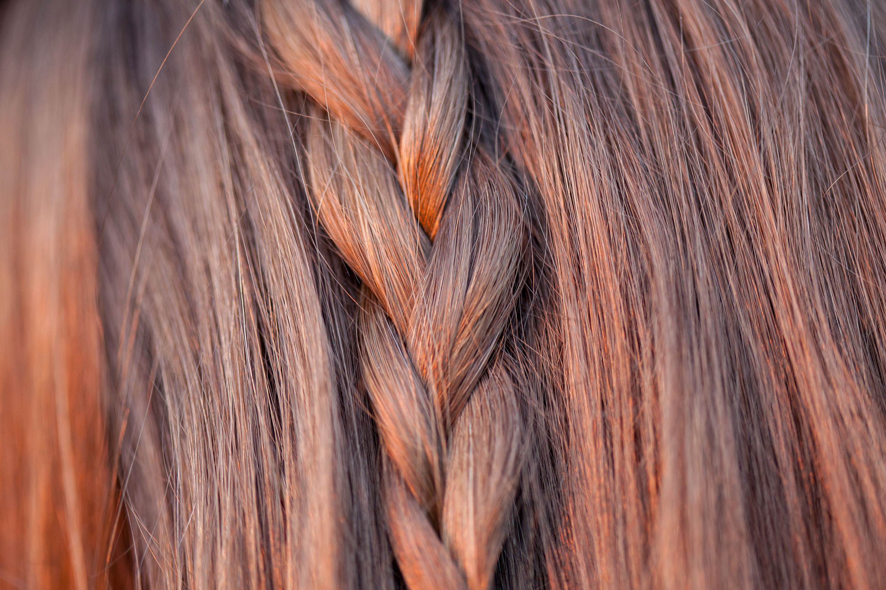 cropped image of the back of a woman's head showing her brown hair in a braid