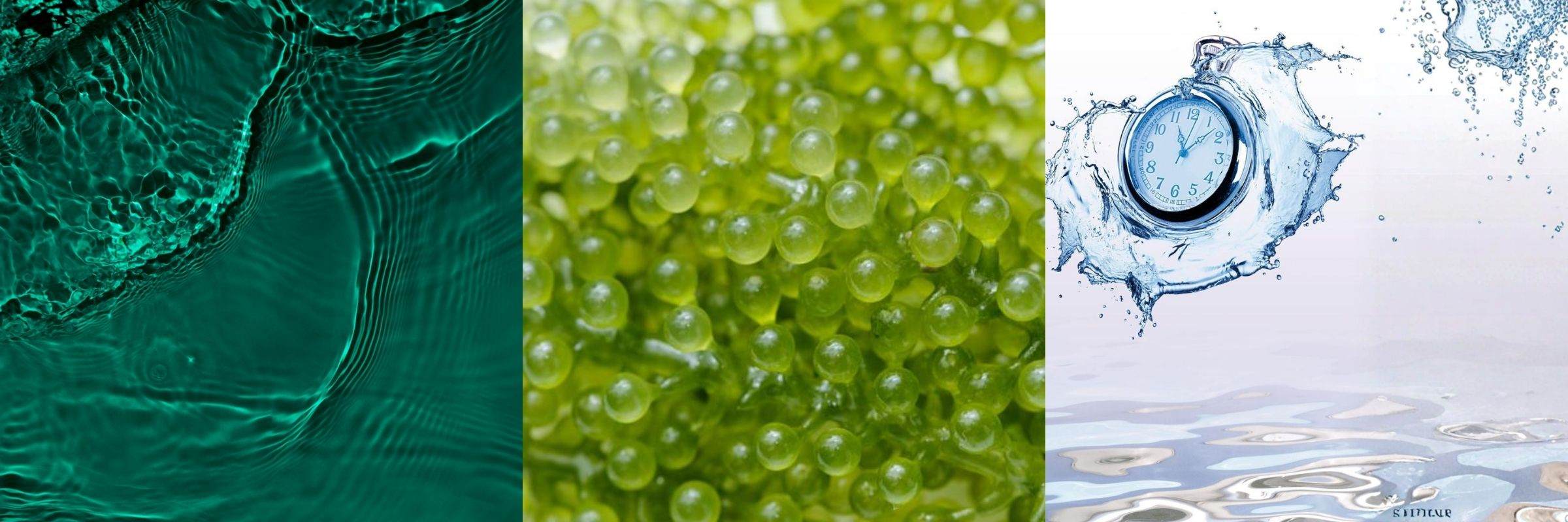 3 images, one of deep turquoise water, one of green algae and one of a clock in a splash of water over rippling water