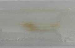 Cithrol 10GTIS after