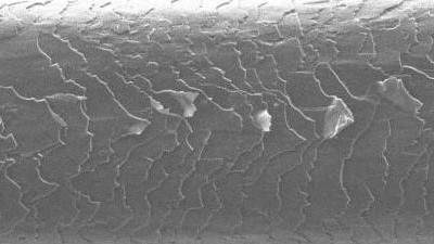 Crodabond CSN before