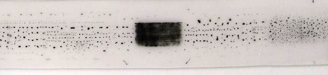 commercial benchmark