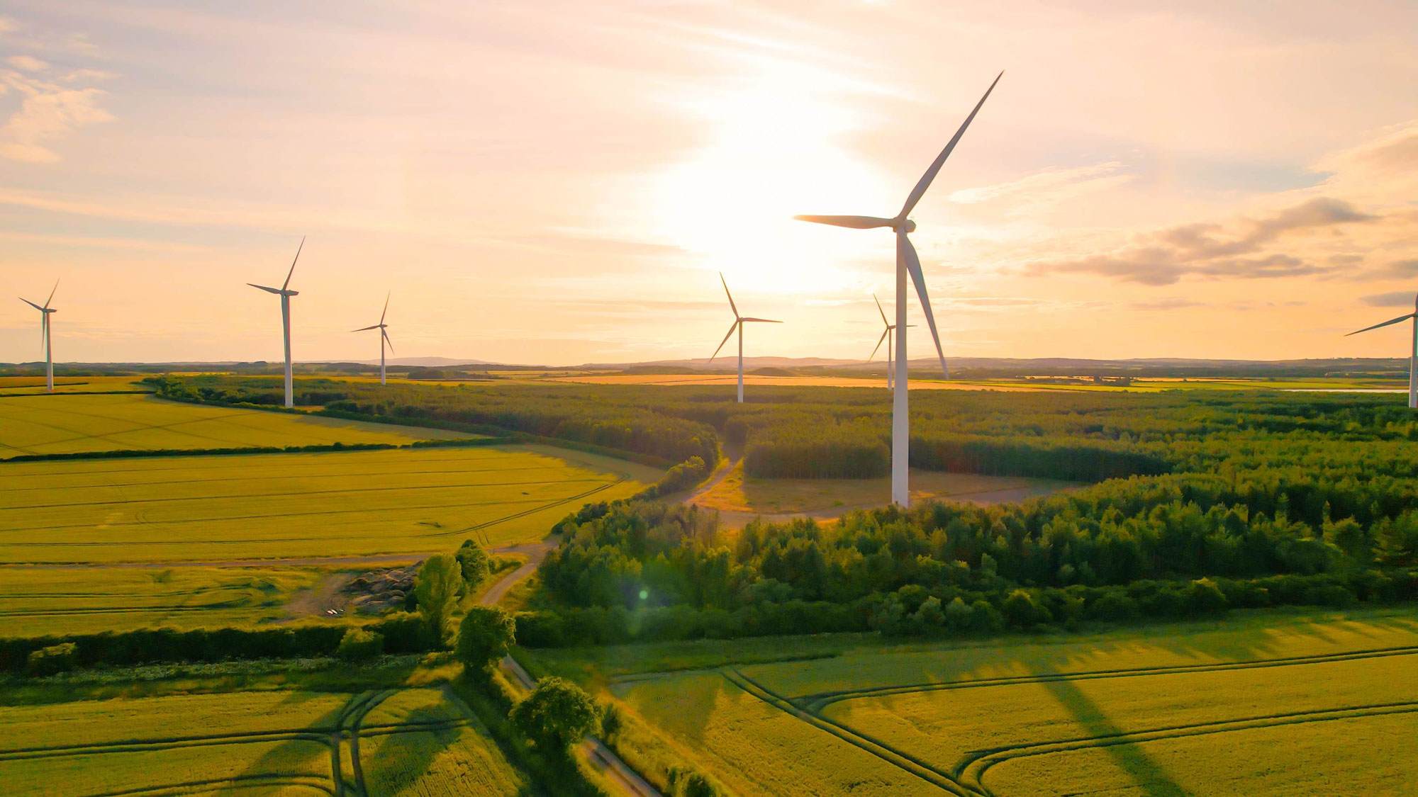 Landscape of fields at sunset with visible wind turbines.