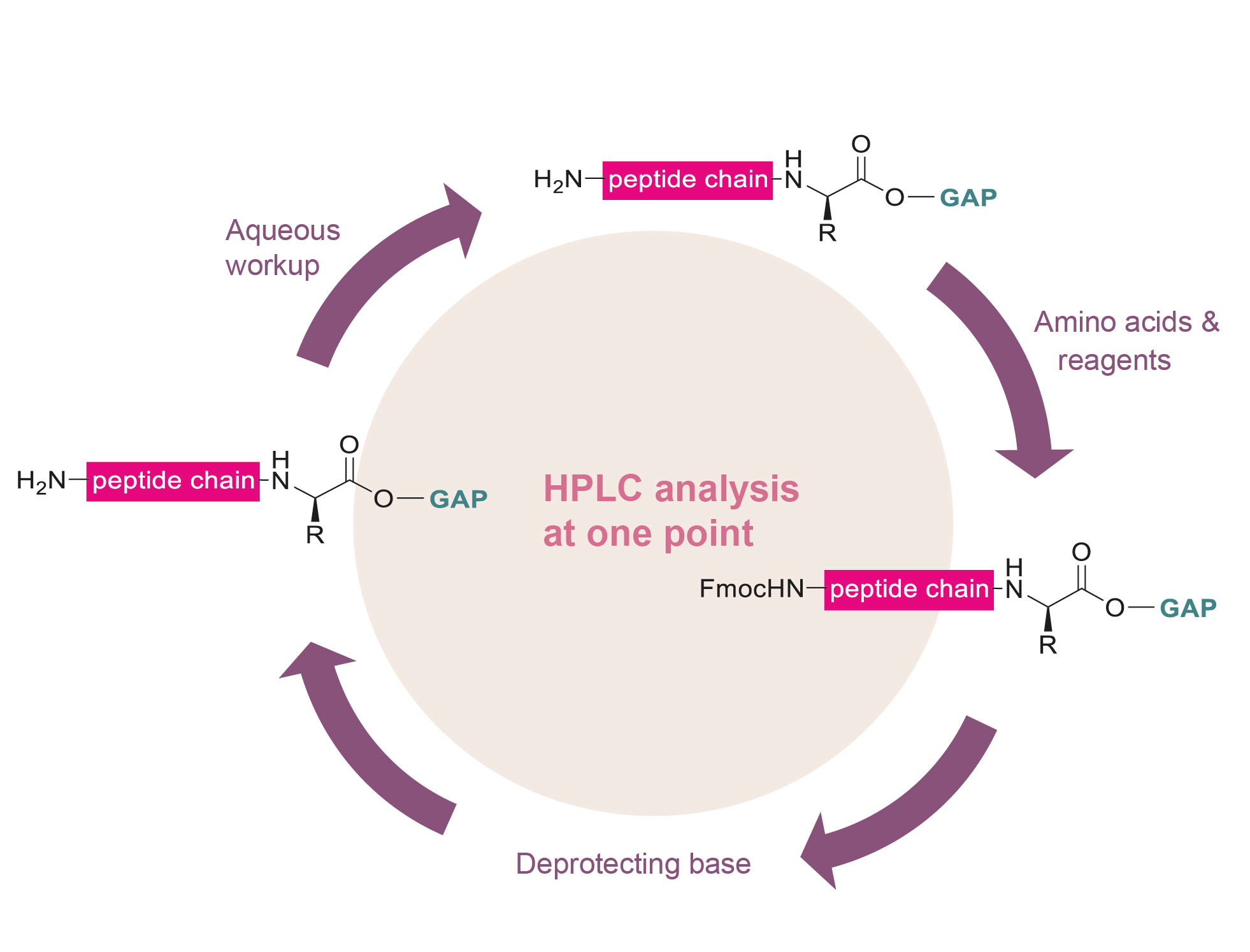 Construction of the peptide chain with GAP-PS technology - One-pot process cycle. 