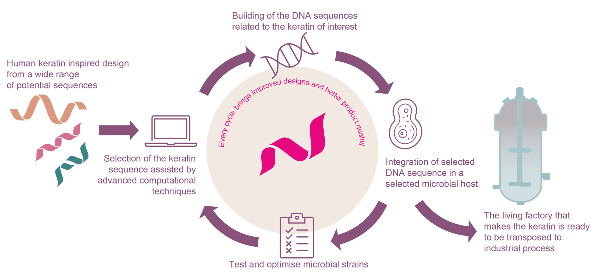 Keratin production using synthetic biology
