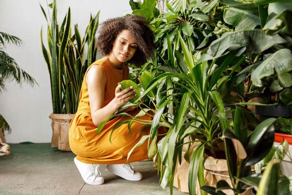 Young brown skinned woman with brown hair in a natural style looking at plants in a plant shop. She is squatting and wearing yellow overalls.