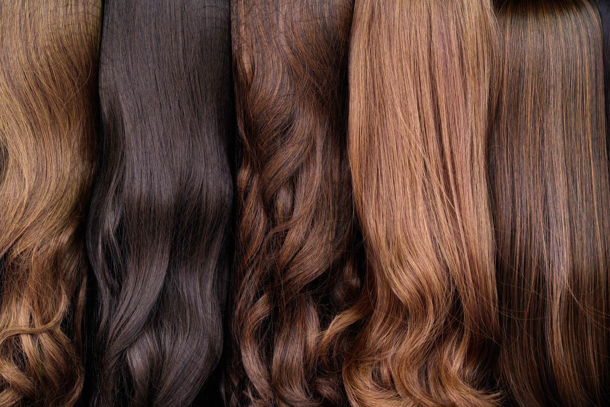 The backs of 5 women's heads. All of them have long brown hair in different shades of brown and different degrees of waviness.